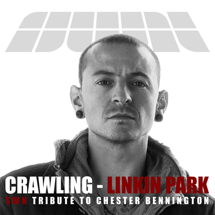LINKIN PARK Crawling (Piano version) SWN Tribute She Was Nothing