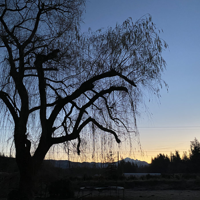 Music for a Restful Night's Sleep Bodarc Bestvina