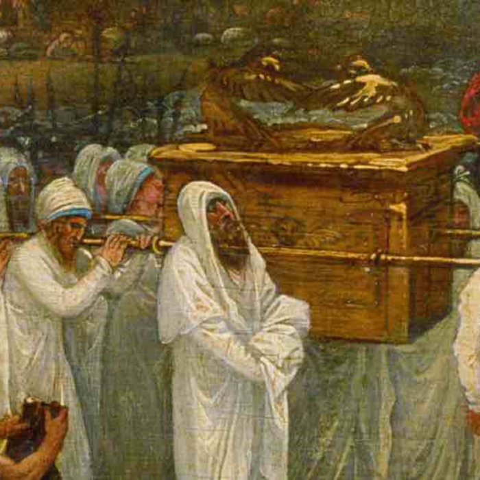 The Bastardized Covenant Amoxet