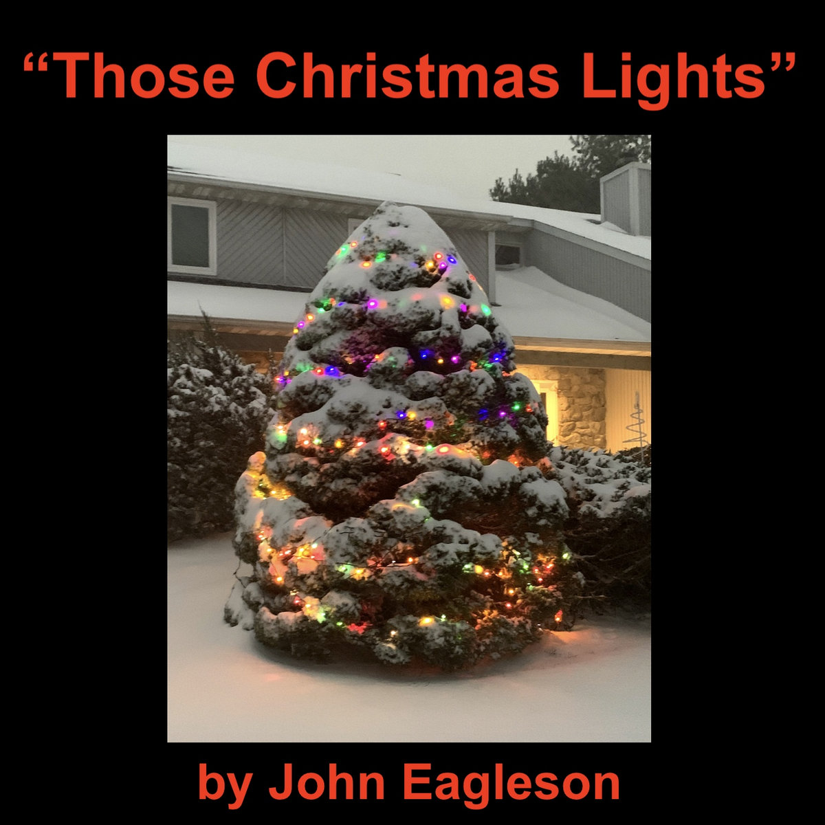 "Those Christmas Lights" John Eagleson