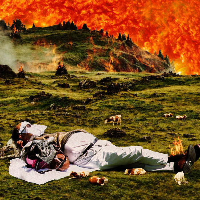 Into Nothing Dull Species