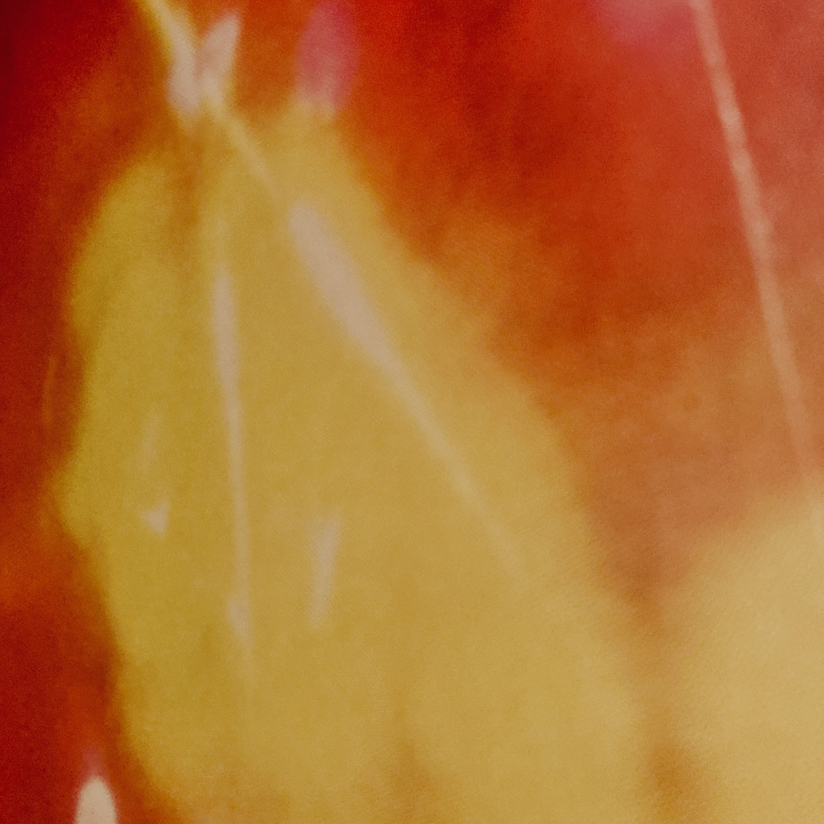 Live 7/16/22 Industry Plants