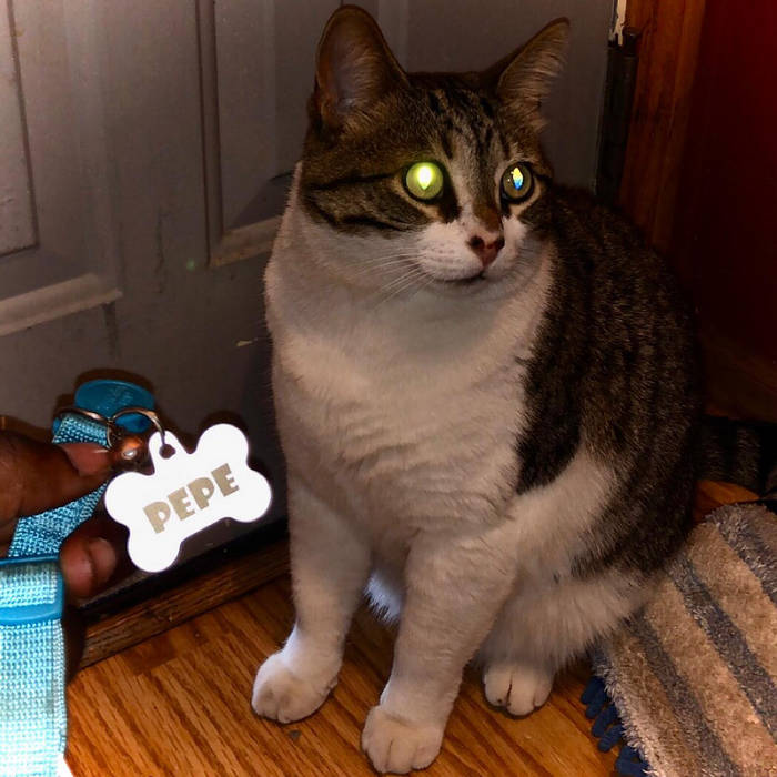 Another Lover Polivon