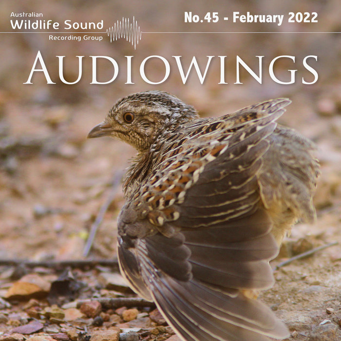 AudioWings No.45, February 2022 Australian Wildlife Sound Recording Group