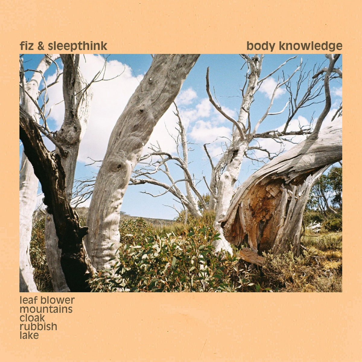 Cloak Fiz, Sleepthink sleepthink