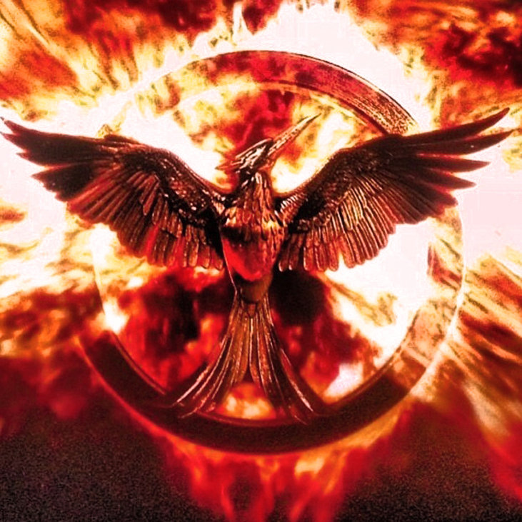 The Hanging Tree (The Hunger Games) Chasing Erin