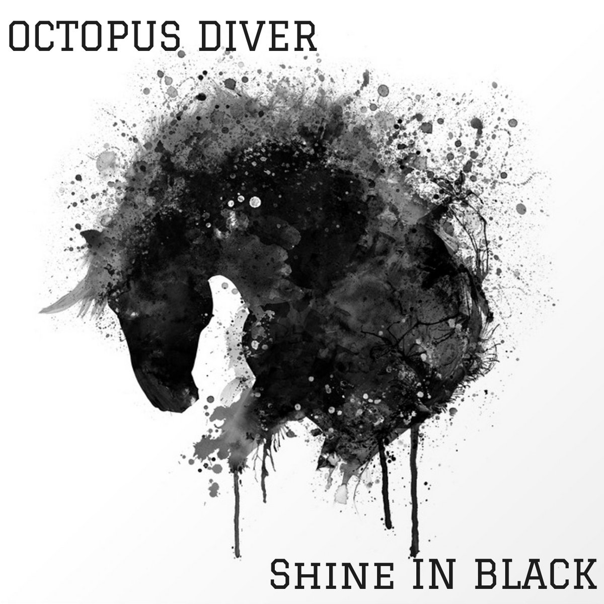 Shine in Black Octopus Diver