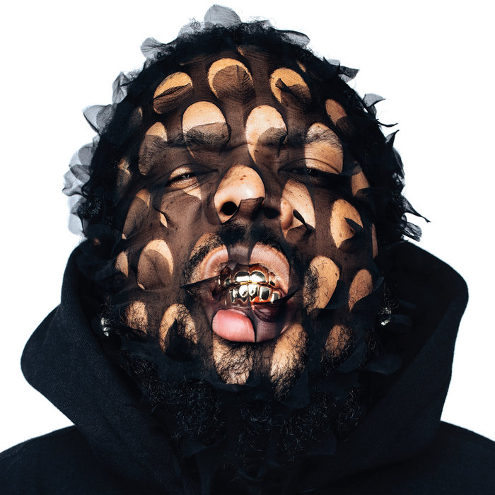 Hitler Wears Hermes 8 (Side A) Westside Gunn Daupe