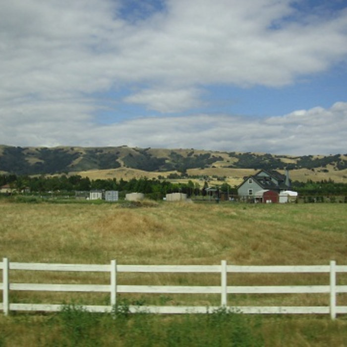 Hank Williams Jr Jambalaya On the Bayou (cover) Rudy Knight