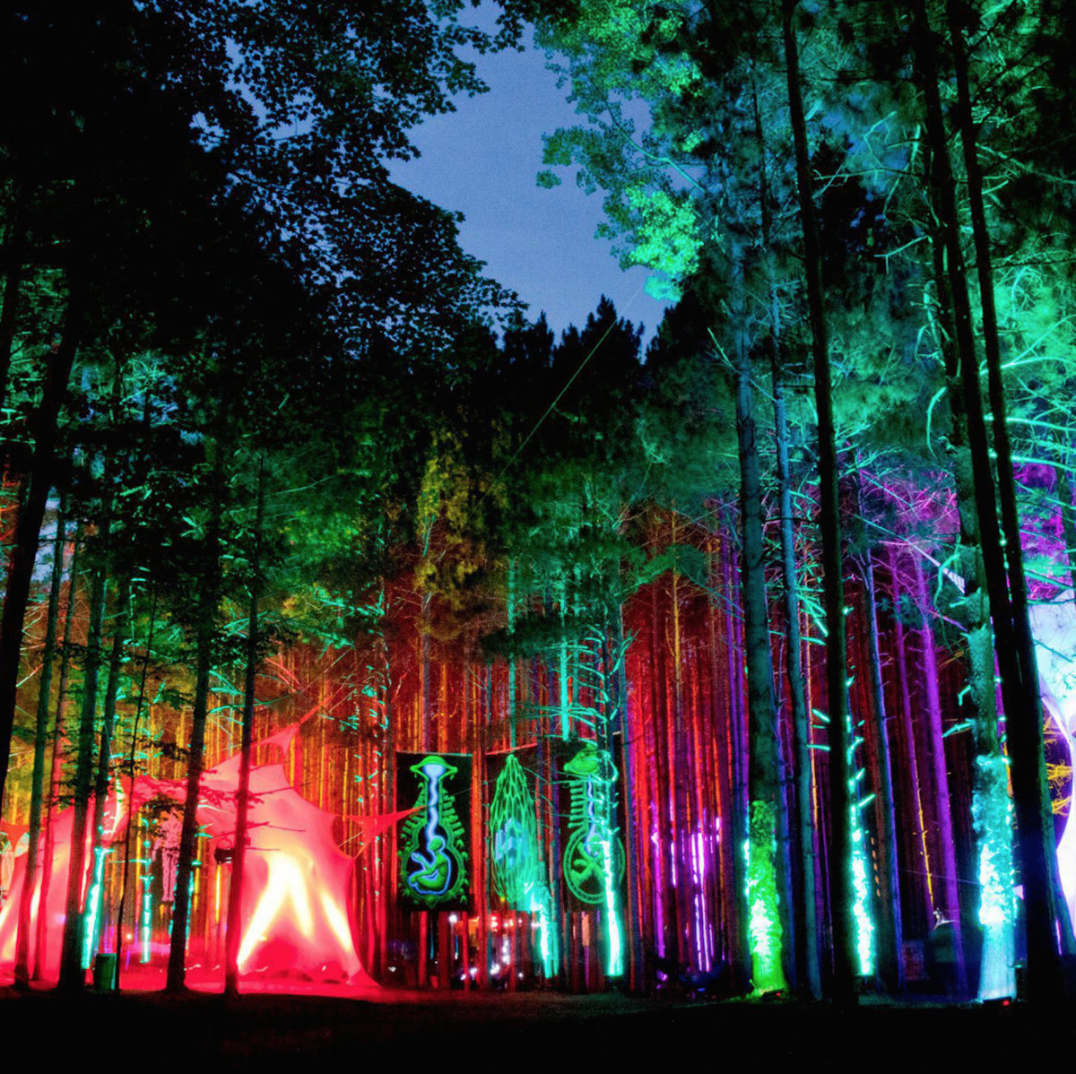 2014.06.28 Electric Forest Festival Rothbury, MI STS9