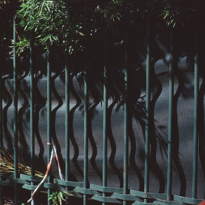 Braddock Run Lindsay Lowend