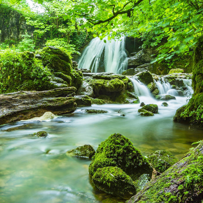 Relaxing Music with Calm Stream Water Sounds Dream Sounds