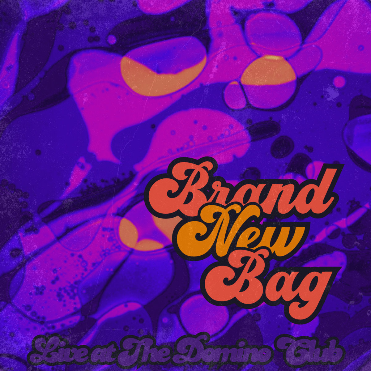 Hottentot (John Scofield Rework) Live at The Domino Club Brand New Bag