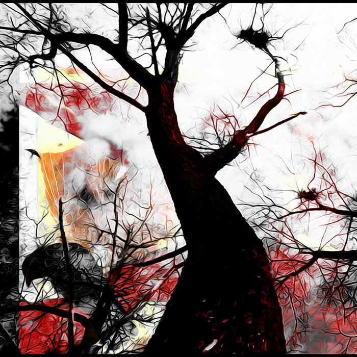 the oldest tree (the highest branch) GRICE