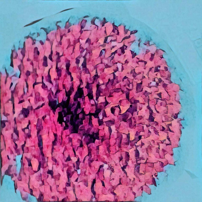 Quinto Sol EP Andrebrije