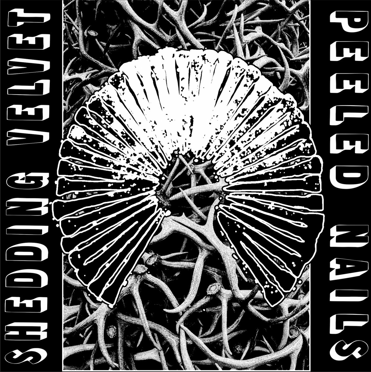 Shedding Velvet / Peeled Nails Peeled Nails, Shedding Velvet