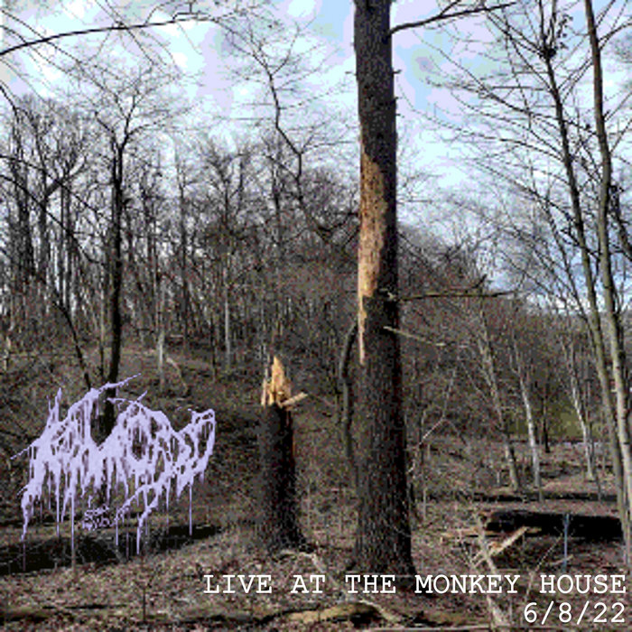 LIVE AT THE MONKEY HOUSE Komodo VT KOMODO VT