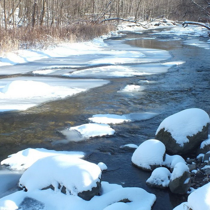 Beaver River Bridge birdheat