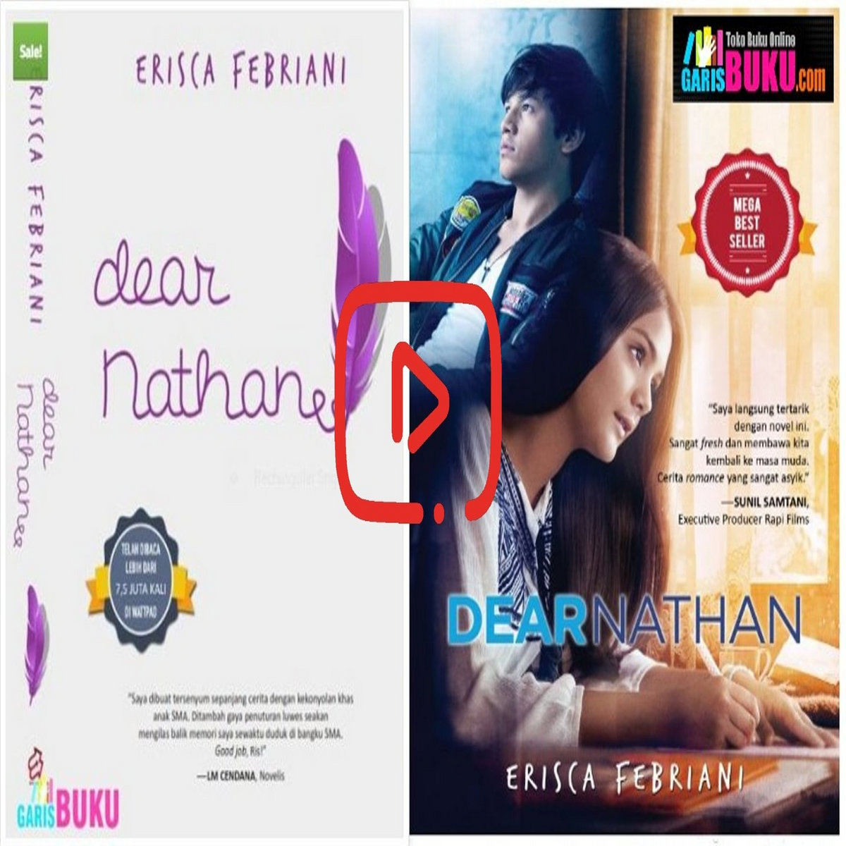 Dear Nathan Buku Dear Nathan Novel Dear Nathan Karya Erisca Febriani