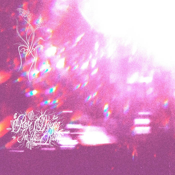 daydream flowers a rose dying in the rain, sadness Sadness