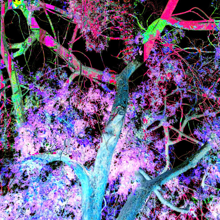 Symphony 0 MTS AIRMASS / mothbloom / Polarlicht / Vista Pacifica