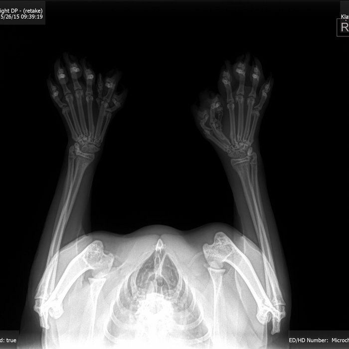 Pink Eye Sleep Capsule