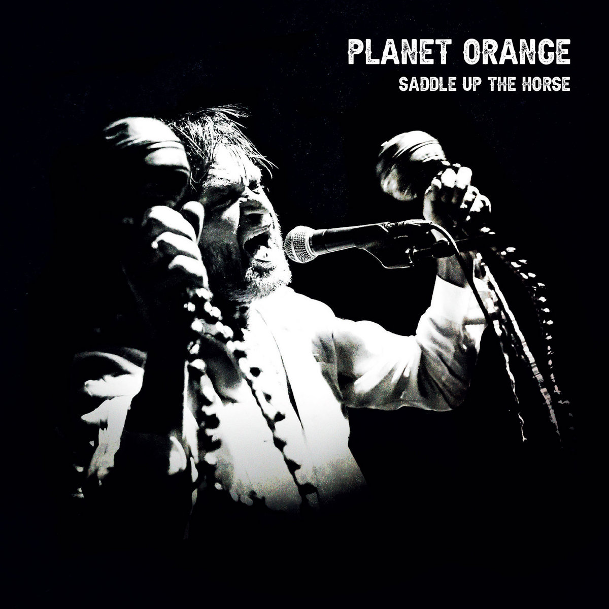 Saddle Up The Horse Orange