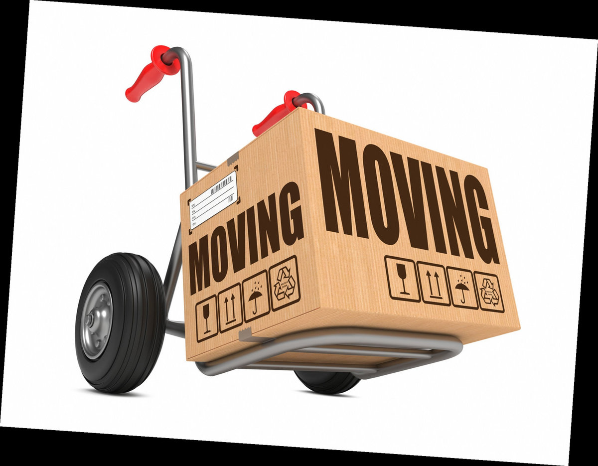 Call +18557892734 International Moving Companies Rates
