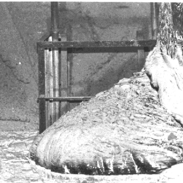 Norfair Elephant's Foot