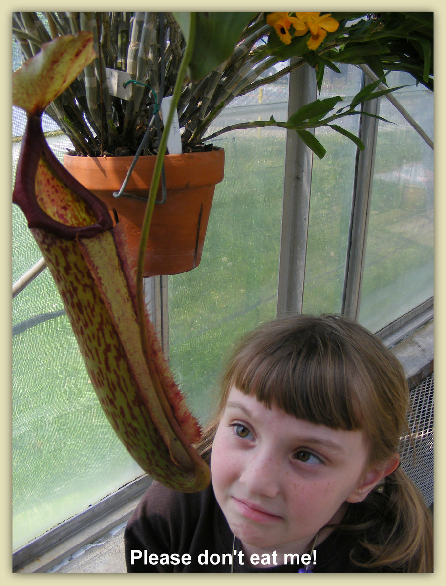 The North Pole Christmas Adventure Greenville Sc Zoo Rozeotyl