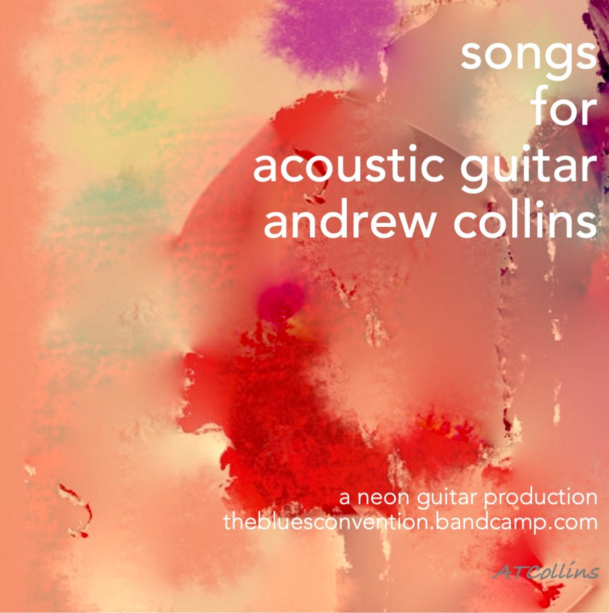 Songs For Acoustic Guitar Andrew Collins Andrew Collins and The