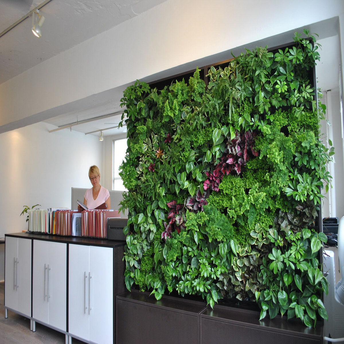 Designer Vertical Garden in Australia Designer Vertical Garden
