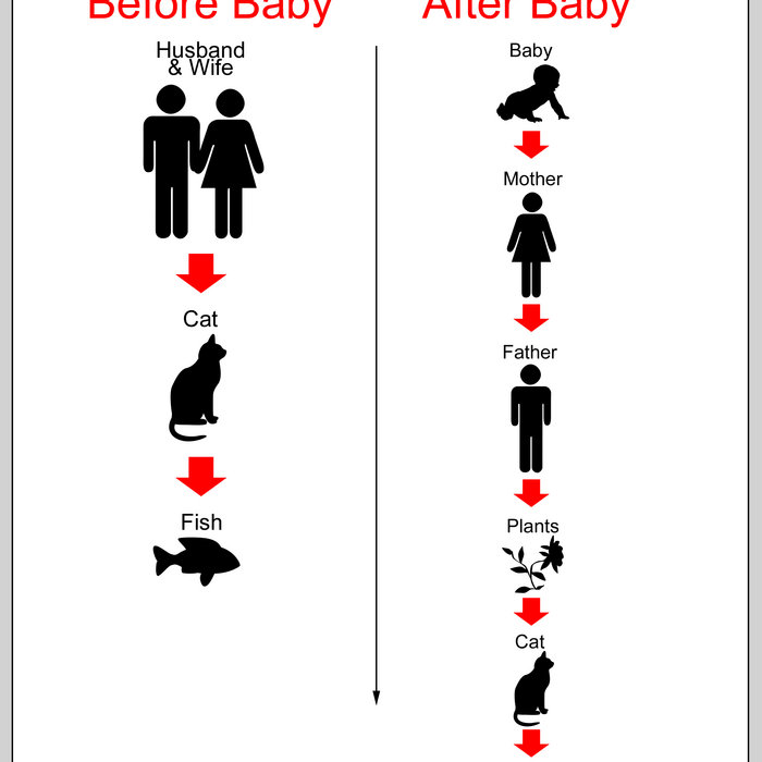 Fish And Cat Full Movie Free Download Gerdadisli jiakidrutptasat