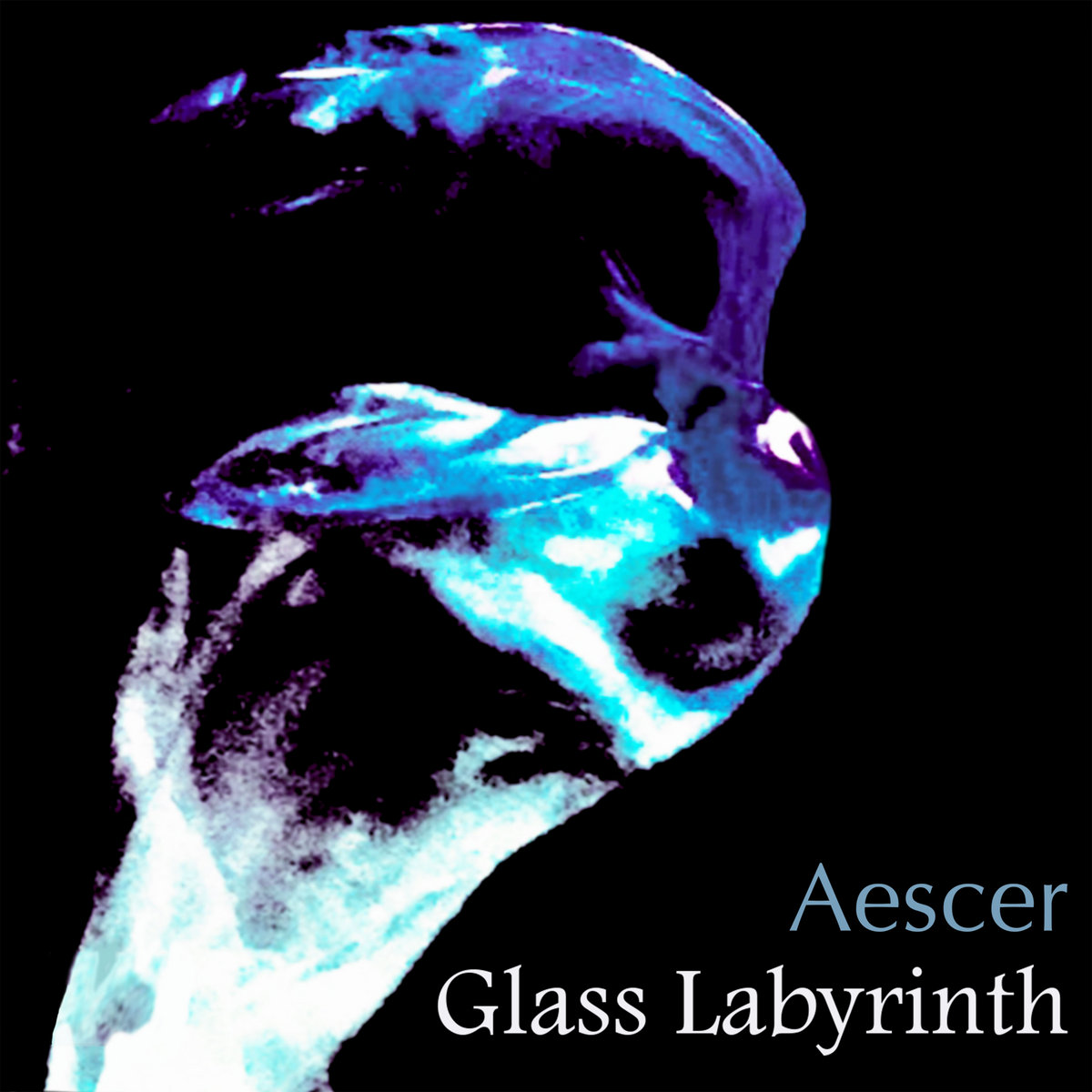 Glass Labyrinth Aescer