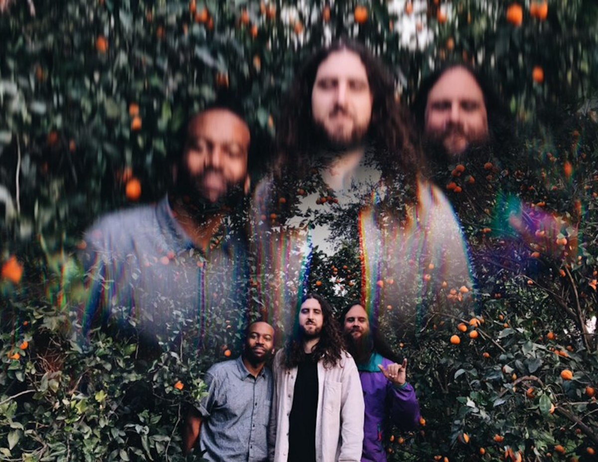 Ojai Orange Grove Concert Nate Mercereau