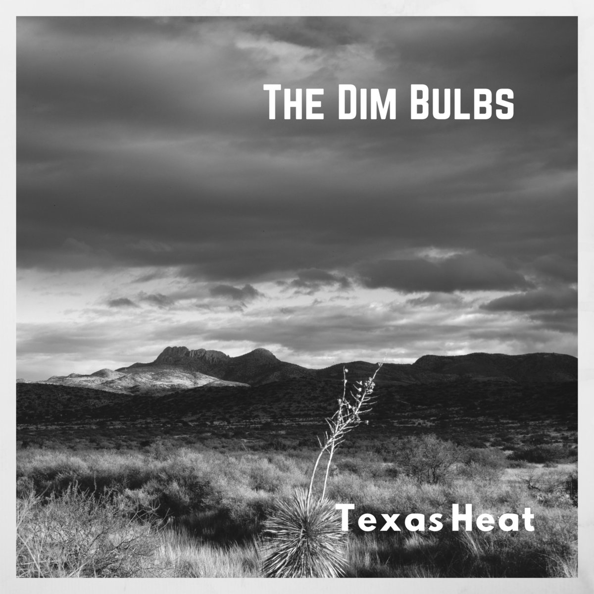 Texas Heat The Dim Bulbs