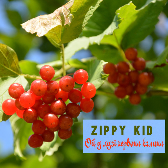 Ой у лузі червона калина/Oh, the Red Viburnum in the Meadow Zippy Kid