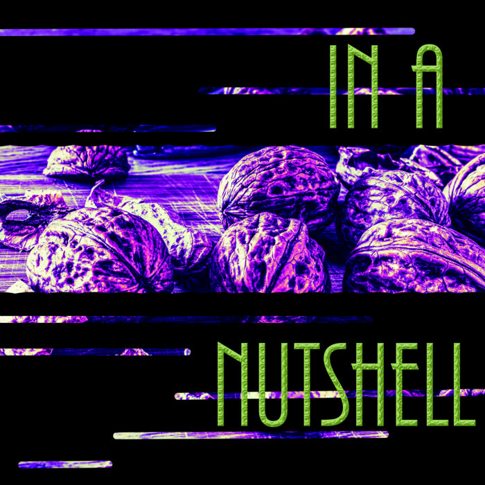 in a nutshell (album) hereisSteve