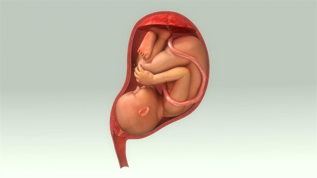 كيف اعرف ان راس الجنين تحت من حركته , علامات اعرفي من