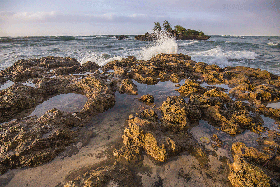 How to make an Animated Gif in f64 Academy