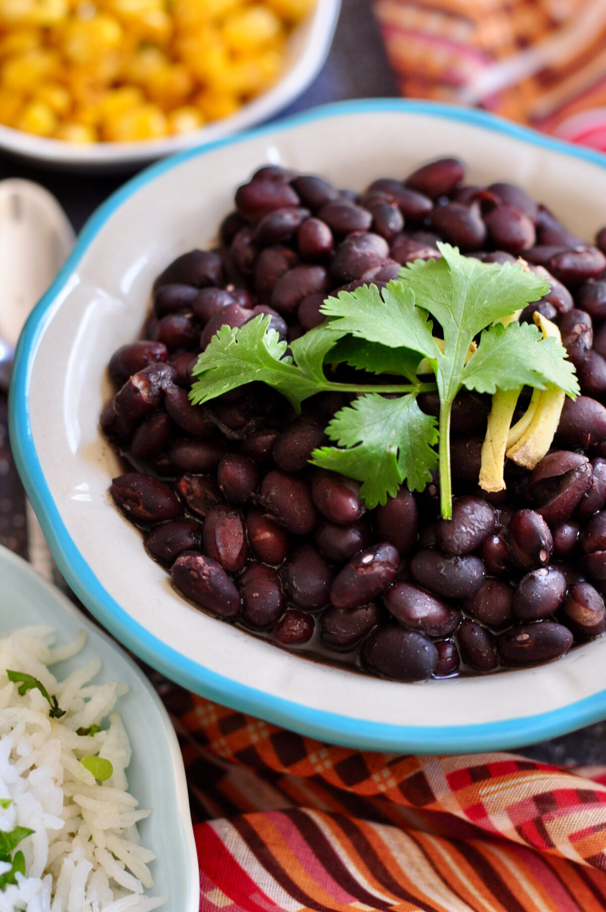 Instant Pot Mexican Black Beans (No Soak) Culinary Shades