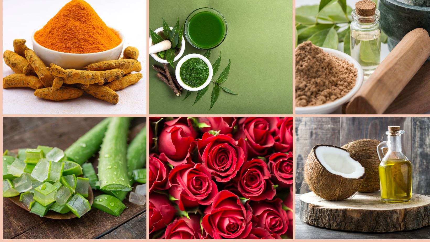 Ayurvedic Beauty Secrets Faasha