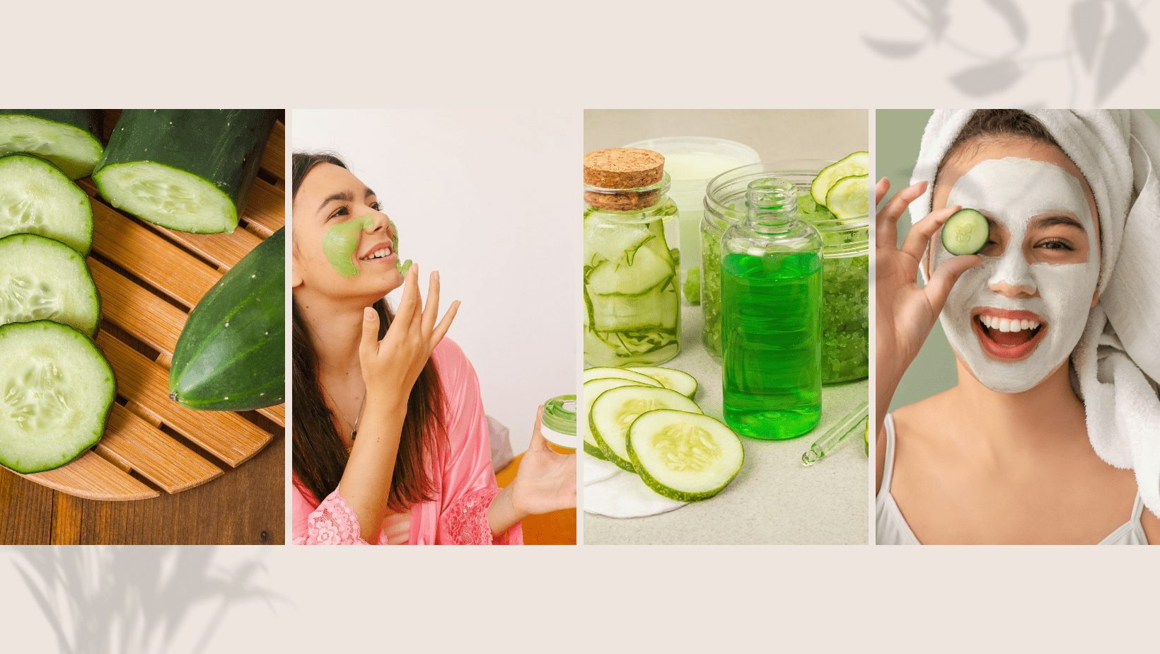 Common Face Care Herbs Faasha