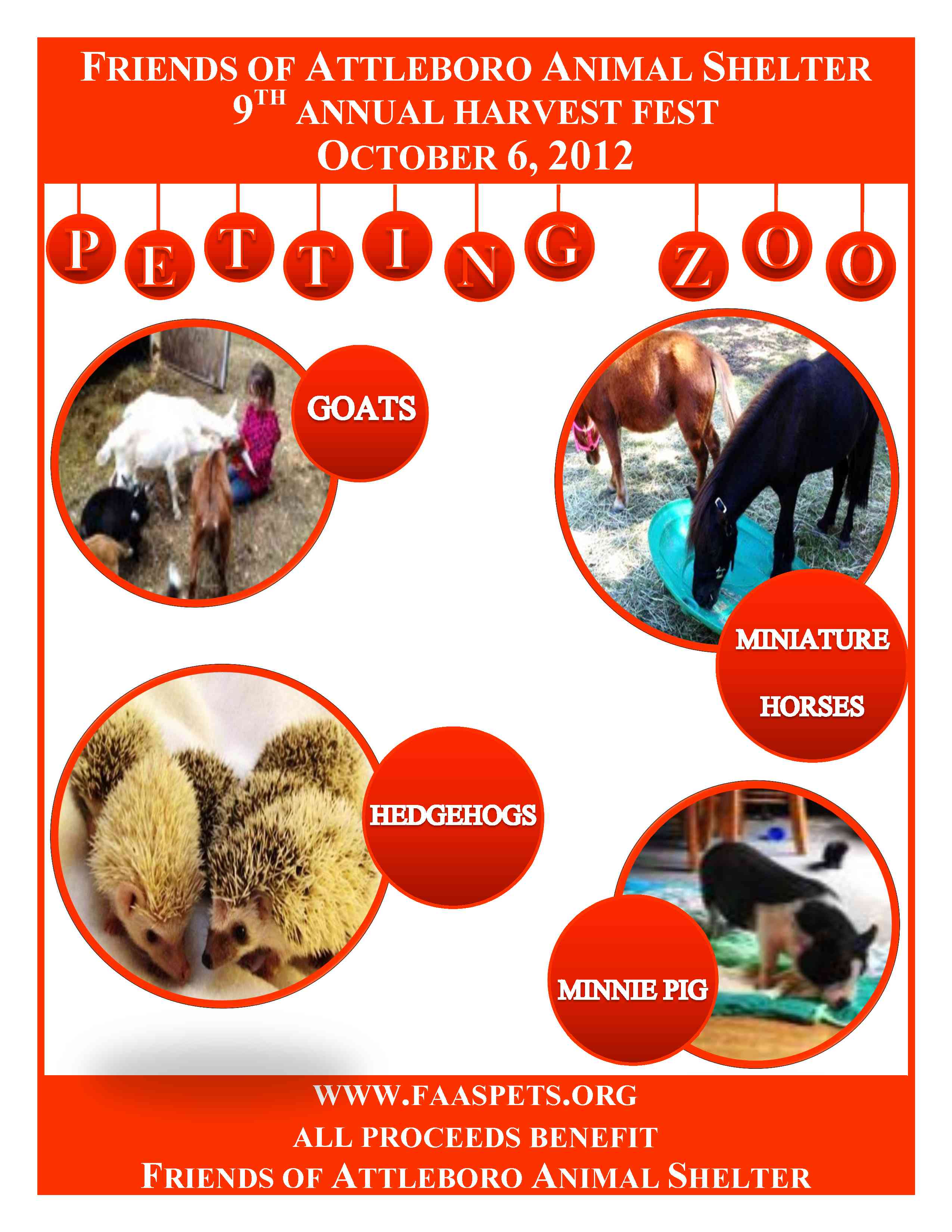 petting20zoo1 Friends of the Attleboro Animal Shelter (FAAS)