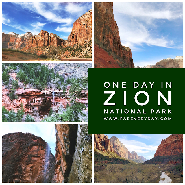 One Day in Zion National Park Fab Everyday
