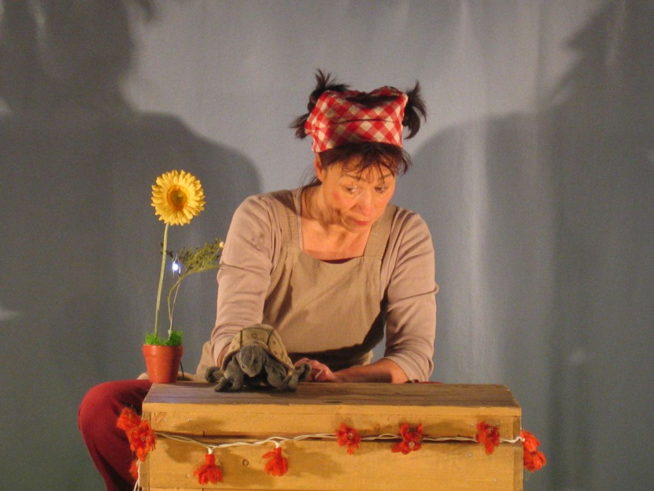Pépin de pomme Fables Rondes