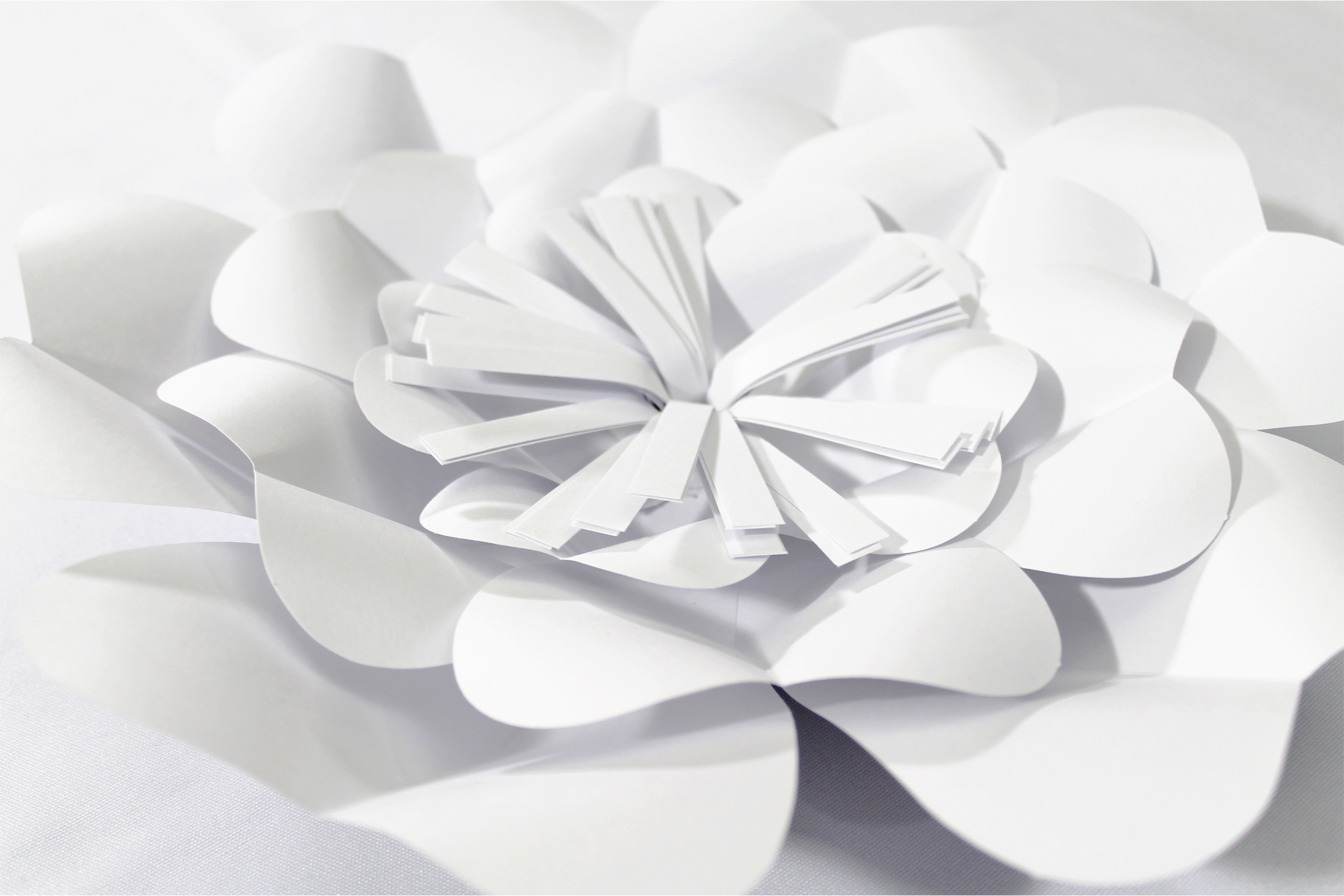 Flor de papel blanca Fabrica de Flores
