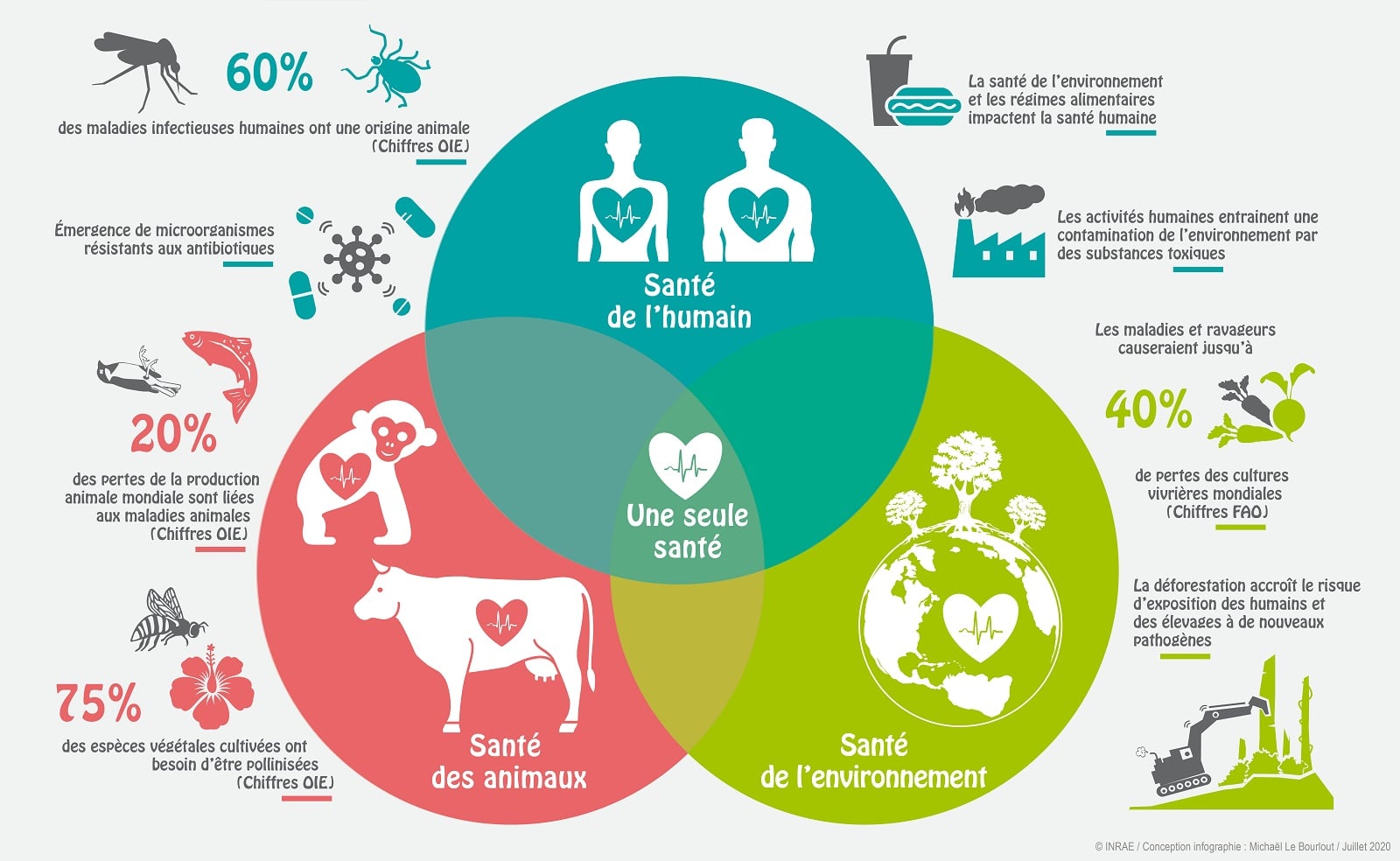 One Health santé humaine, animale et environnementale La fabrique