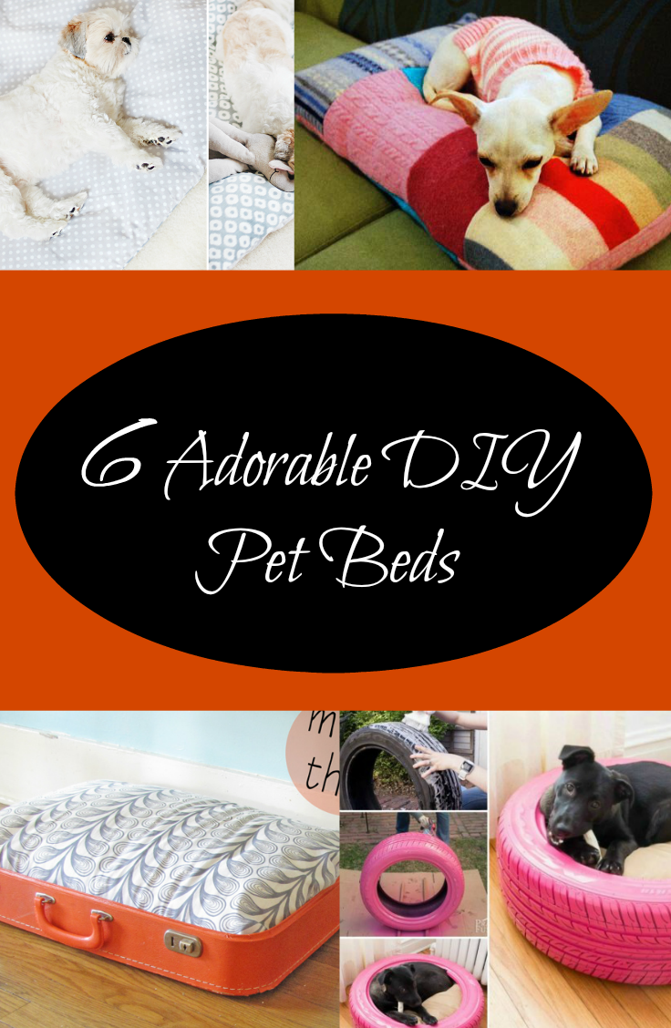 6 Adorable DIY Pet Beds Fabulessly Frugal