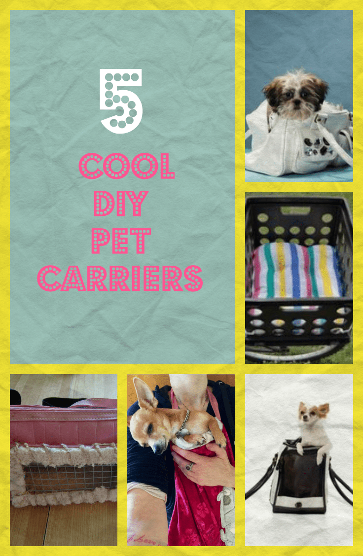 5 Cool DIY Pet Carriers Fabulessly Frugal